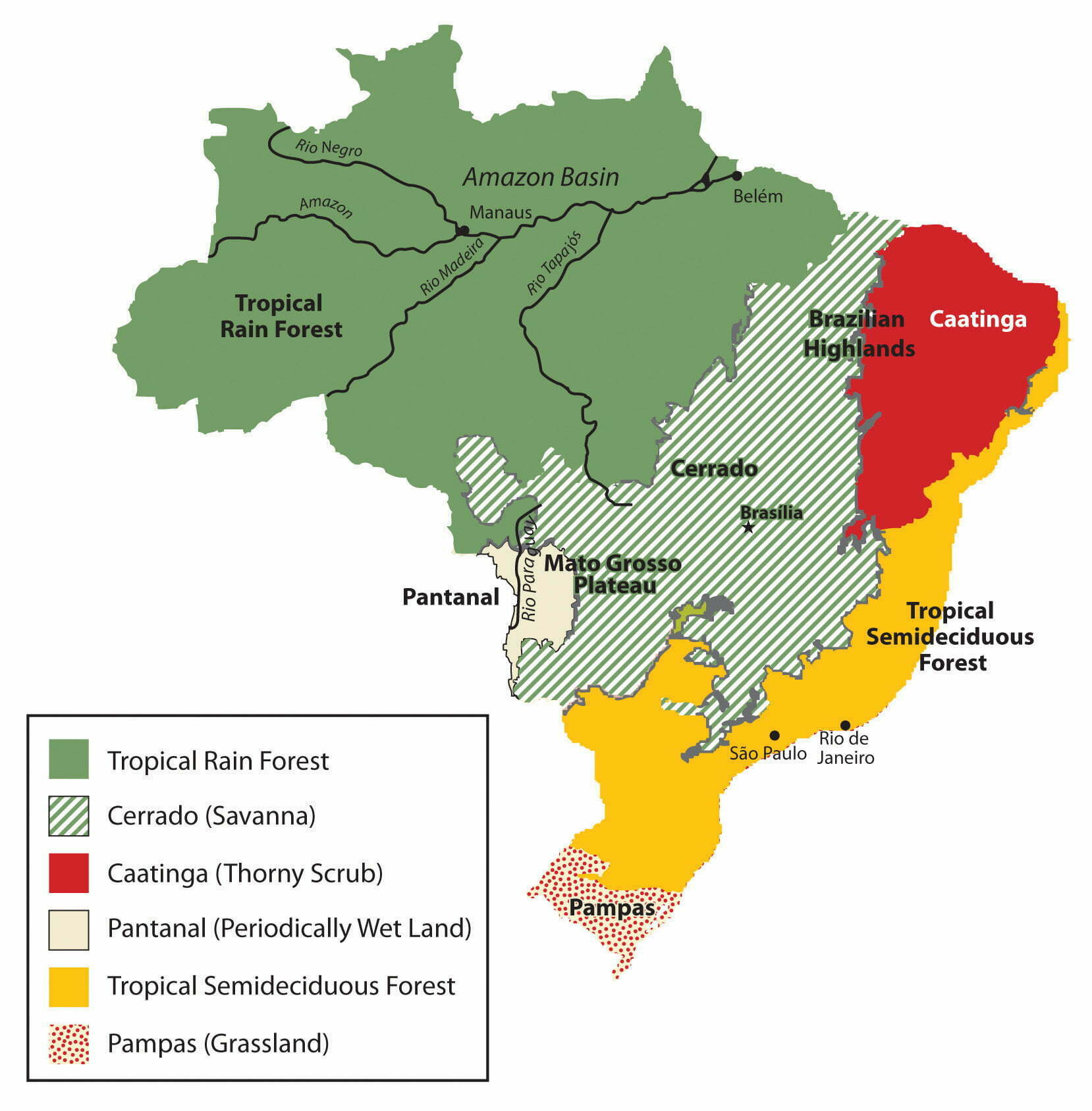 Image result for Brazil journey then took on the world